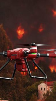 图片包含 户外, 草, 停止, 街道 AI 生成的内容可能不正确。