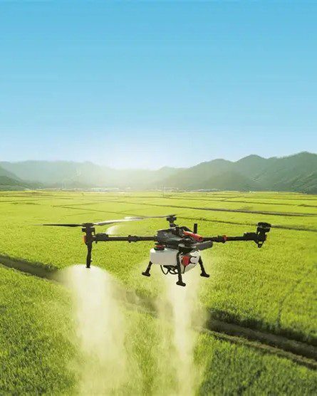 草地上的飞机
AI 生成的内容可能不正确。