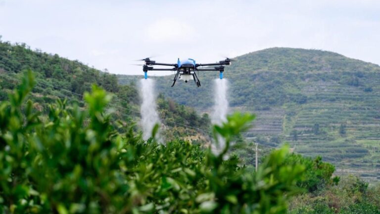 草地上的飞机 AI 生成的内容可能不正确。
