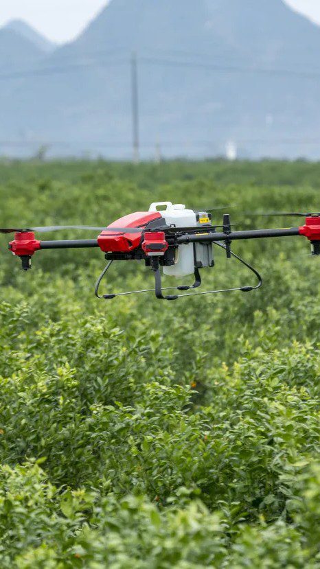 草地上的飞机
AI 生成的内容可能不正确。