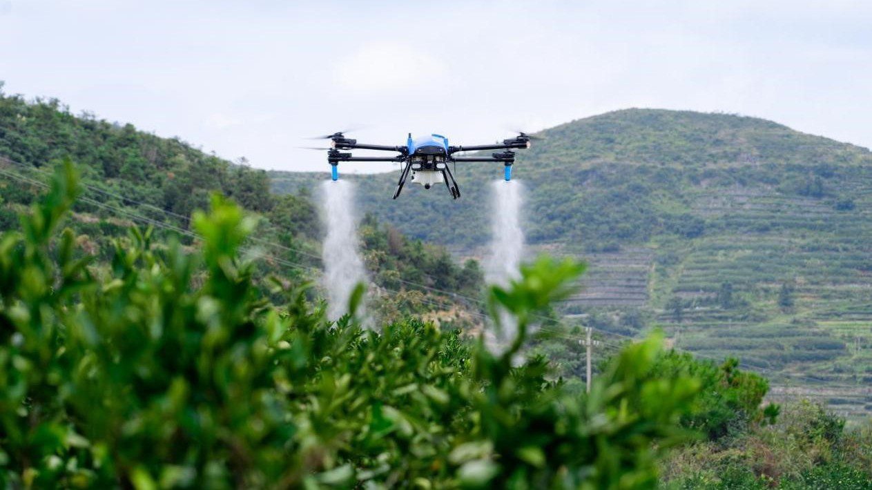 草地上的飞机
AI 生成的内容可能不正确。