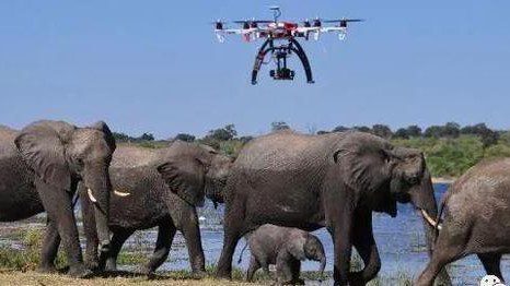 草地上有一群大象

AI 生成的内容可能不正确。