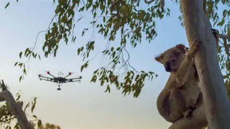 在树枝上 AI 生成的内容可能不正确。